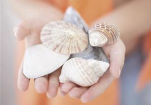 Fermeture de zone étang du Grazel 