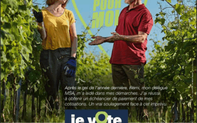 MSA Grand Sud : Elections des délégués MSA du 5 au 16 mai 2025