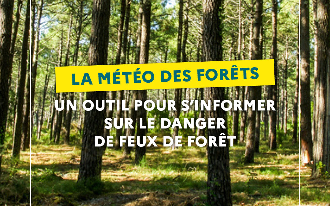 Ayons les bons réflexes pour éviter les départs de feu