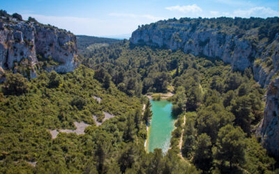 Les Massifs Forestiers sont ouverts