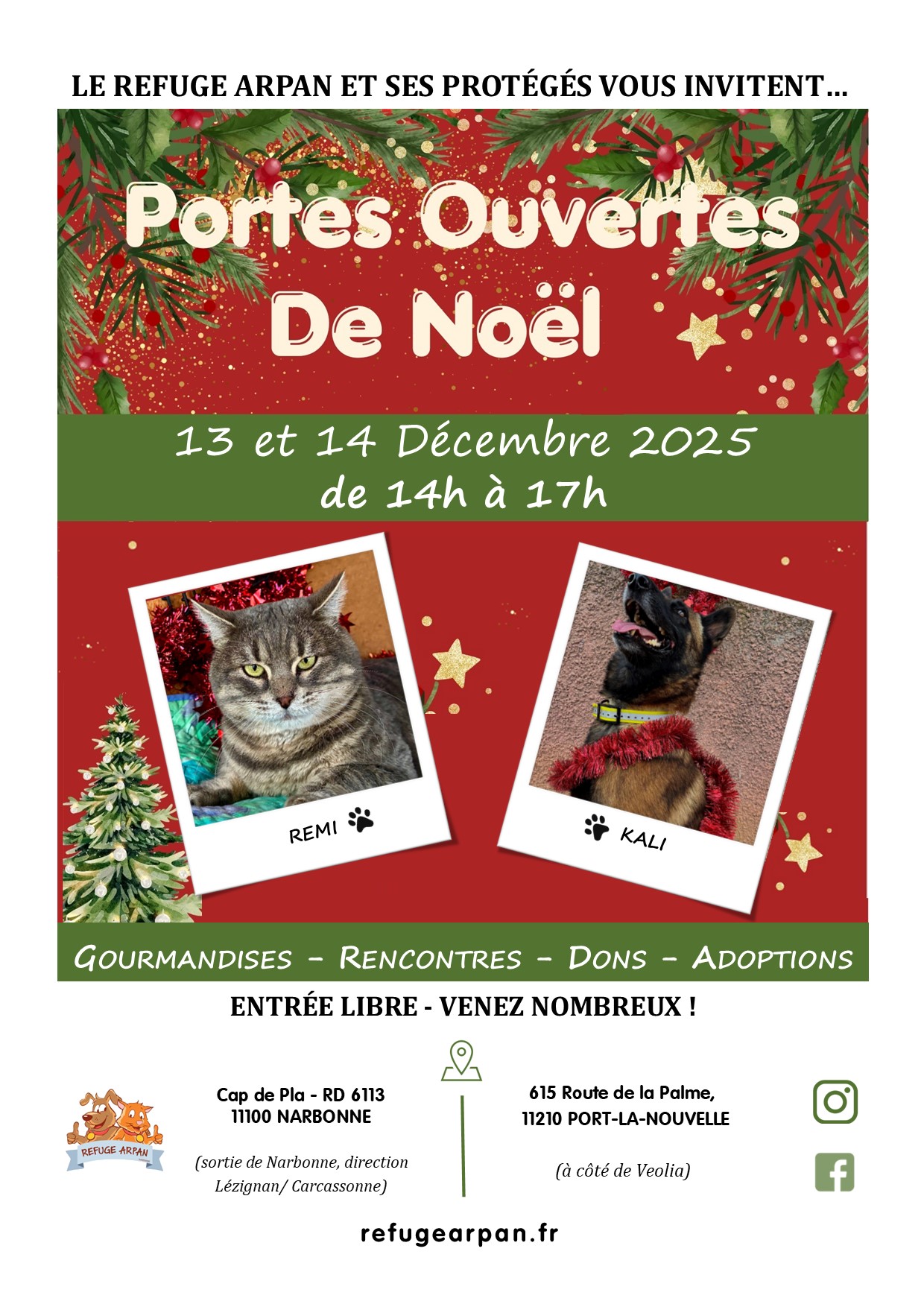 74e7038b-2f8a-44c1-8d40-bb66d2851e0e