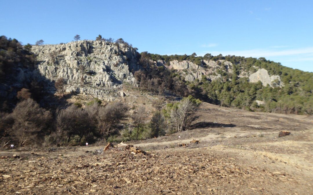 Tous ensemble pour notre nature !