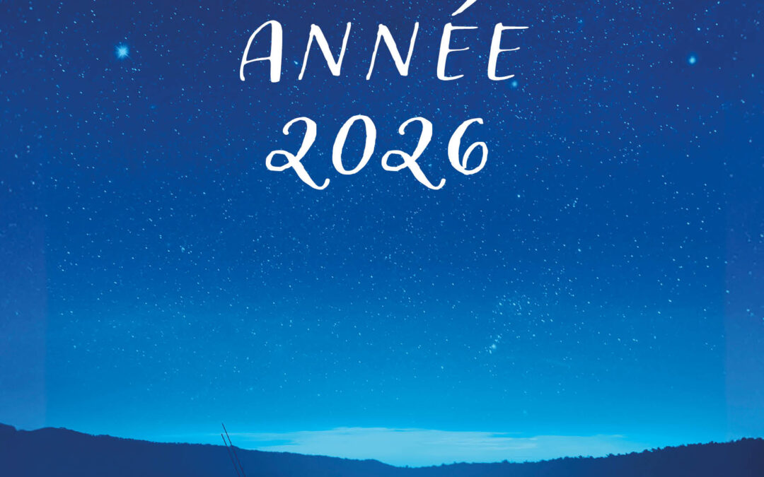 Bonne année 2026 !