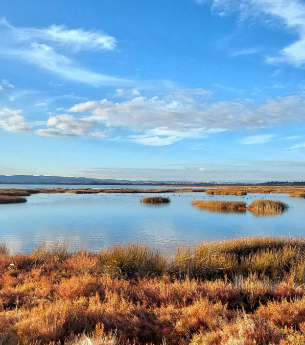 Concours photo pour célébrer les zones humides de la Narbonnaise