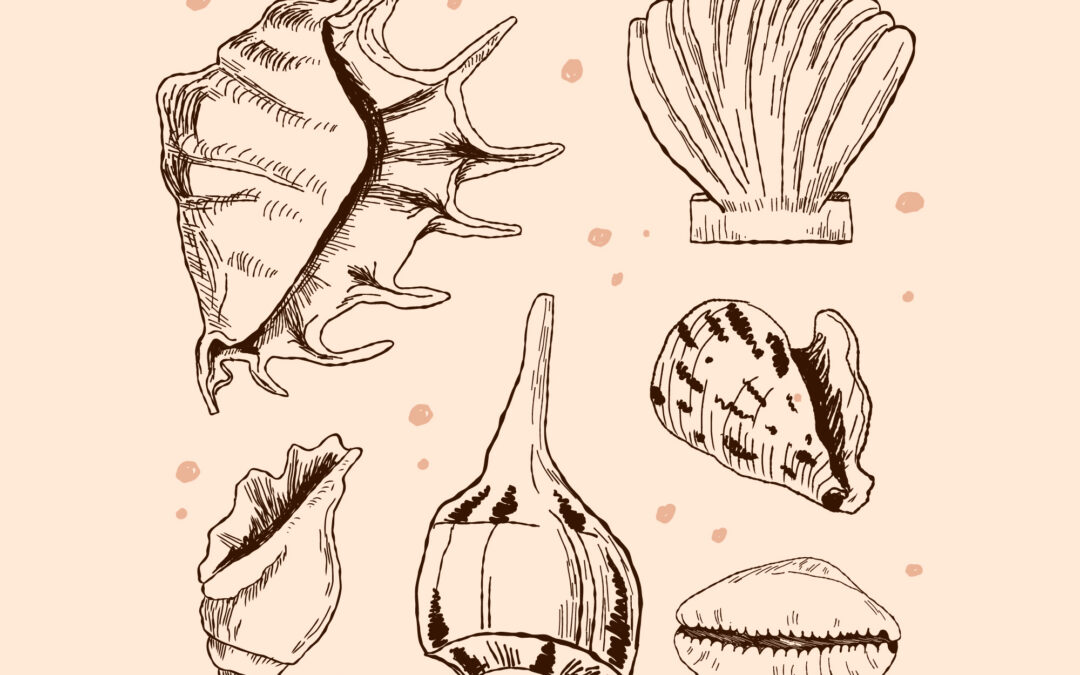 Arrêté préfectoral n° DDTM/SML/2026-037-001