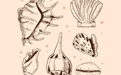 Arrêté préfectoral n° DDTM/SML/2026-037-001