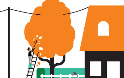 Pour rester branché, élaguez