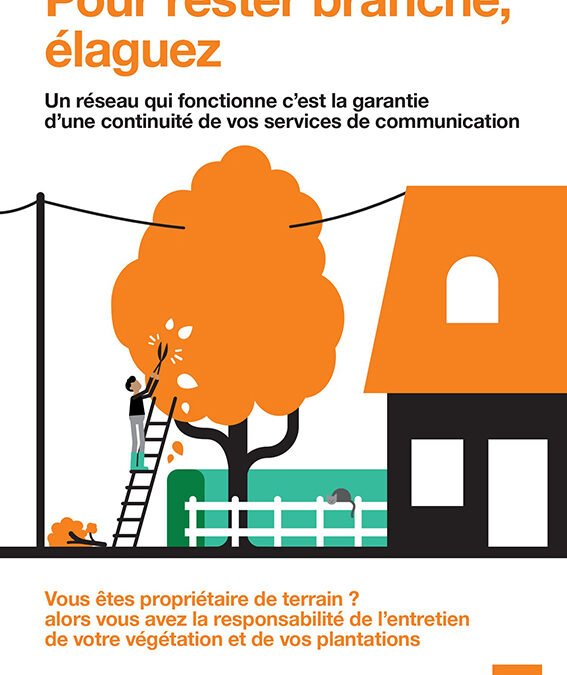 Pour rester branché, élaguez